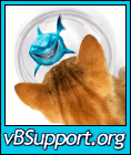   vBSupport